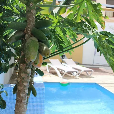 Holiday home Casa El Olivo, Tenerife Valle de San Lorenzo