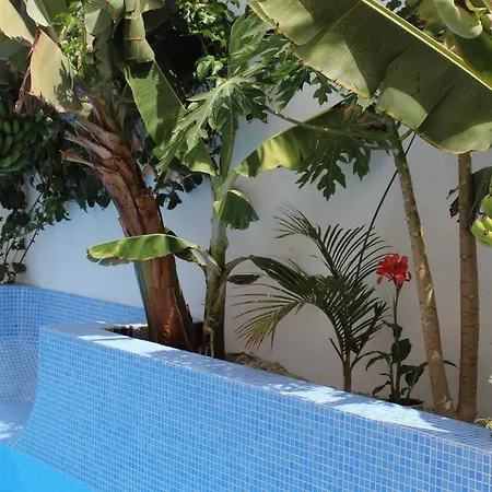 Casa El Olivo, Tenerife Holiday home Valle de San Lorenzo