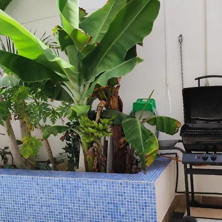 Casa El Olivo, Tenerife Holiday home Valle de San Lorenzo